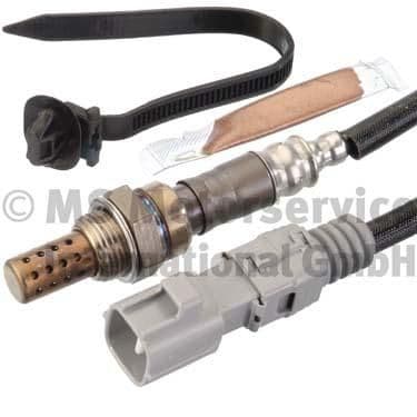 Oxygen Sensor