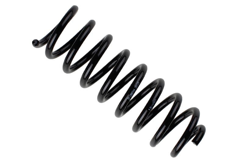 Coil spring
