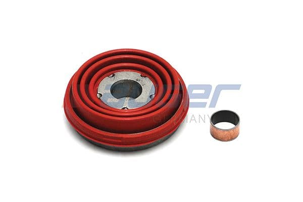 Disc brake caliper repair kit