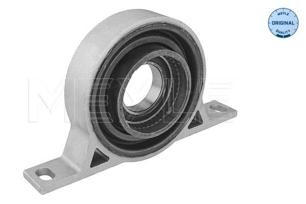 Schroefassteun (30mm, met een lager) past: BMW 5 (E60), 5 (E61), 6 (E63), 6 (E64), X3 (E83) 2.2-3.0D 12.01-12.10