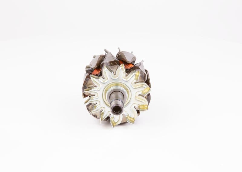 Alternator rotor
