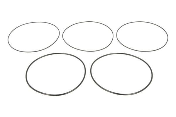 Cylinder liner o-ring set