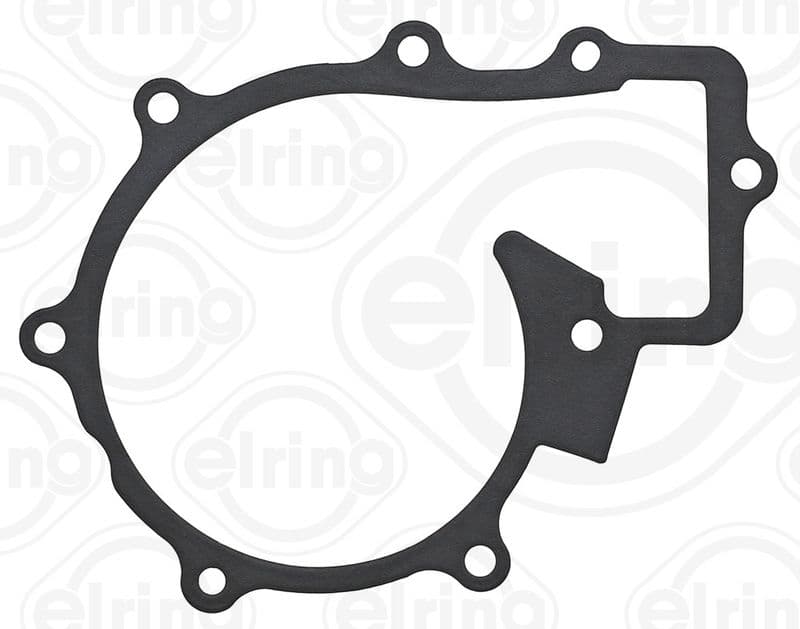 Water pump gasket