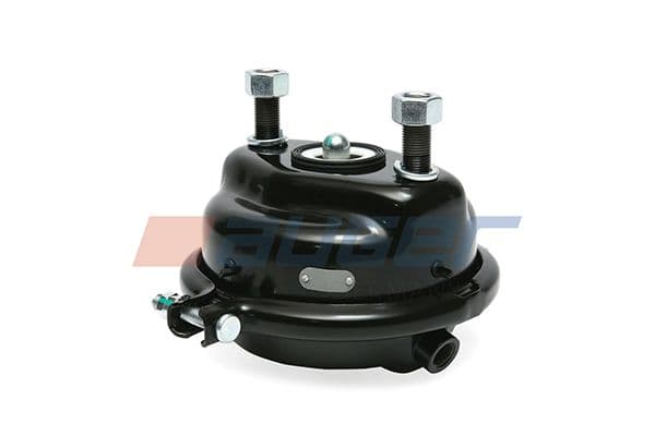 Brake servo-motor Voor Rechts (24, beroerte: 65mm, M16x1,5mm, schijf) past: RVI PREMIUM past: VOLVO FH, FM 09.05-