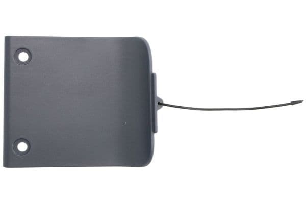 Cabine opstapje Rechts past: DAF XF 106 10.12-