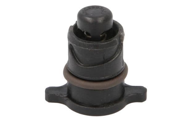 Screw Plug, oil sump