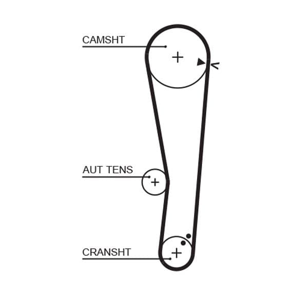 Timing belt