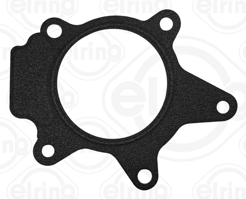 Water pump gasket