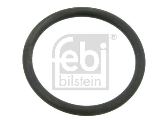 Water pump gasket