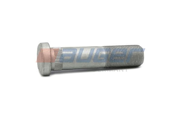 Wheel bolt