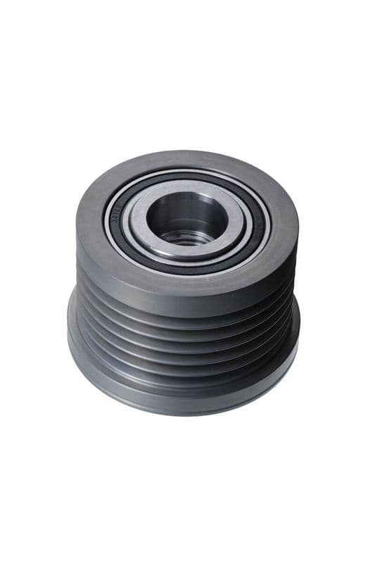 Dynamo poelie past: RENAULT LAGUNA II, MEGANE II 1.9D 03.01-02.08