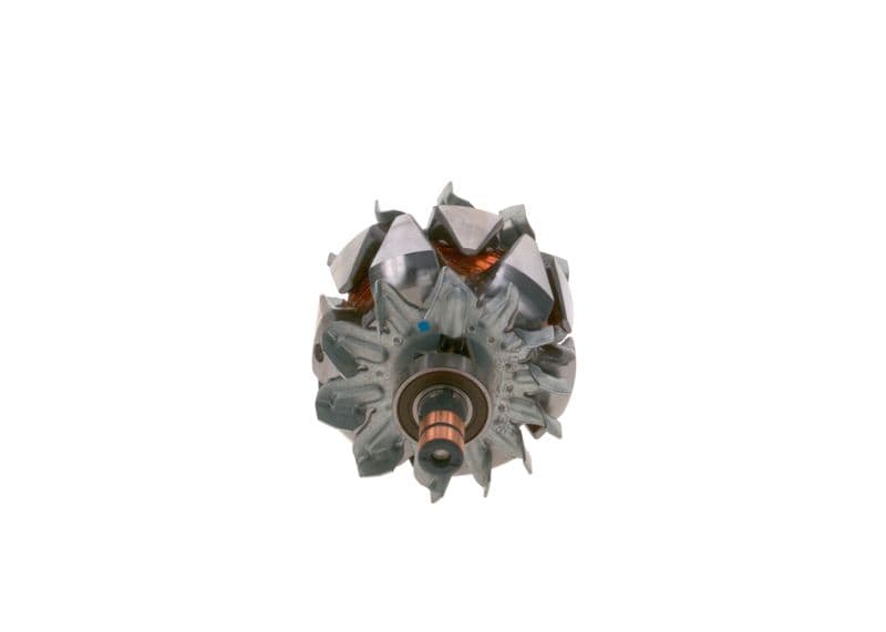 Alternator rotor