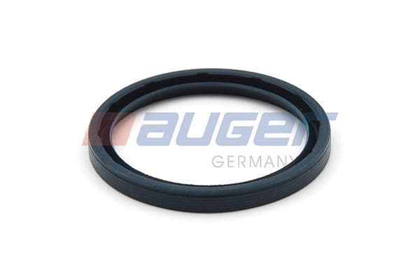 Seal Ring, steering knuckle