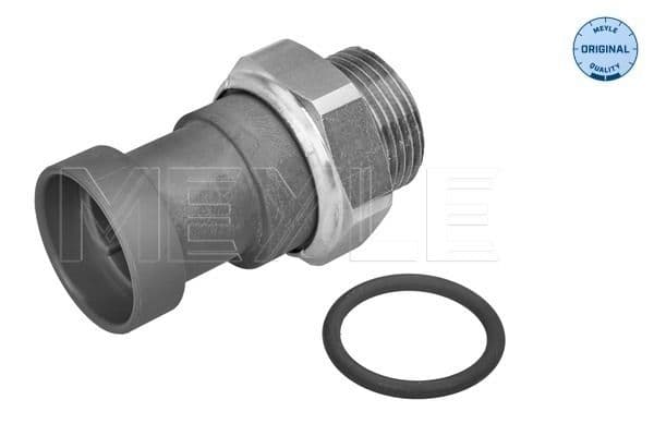 Temperature Switch, radiator fan