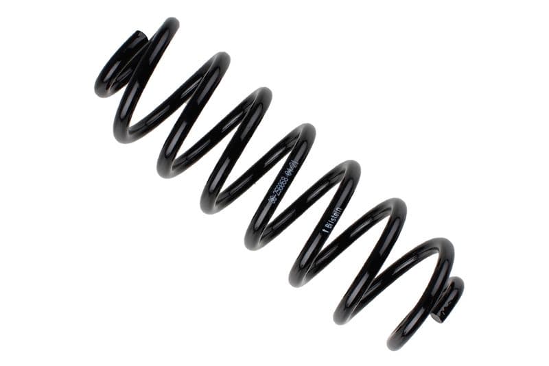 Coil spring