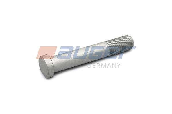 Wheel bolt