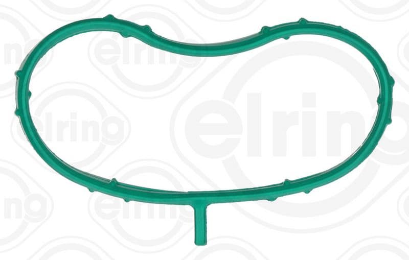 Gasket, intake manifold