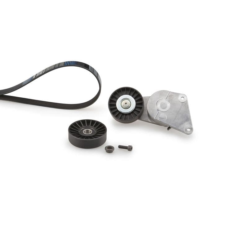 Multi-V-riem (6PK1660)