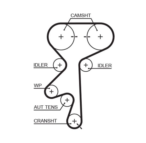 Timing belt