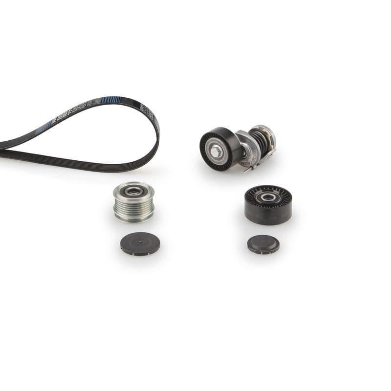 Multi-V-riem (6PK1613)