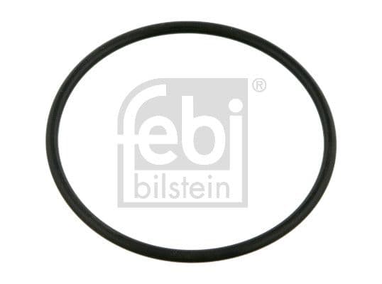 Seal Ring, steering knuckle