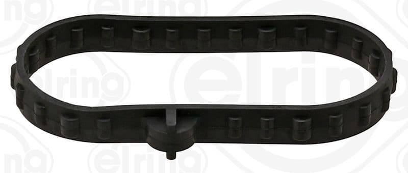 Gasket, oil cooler
