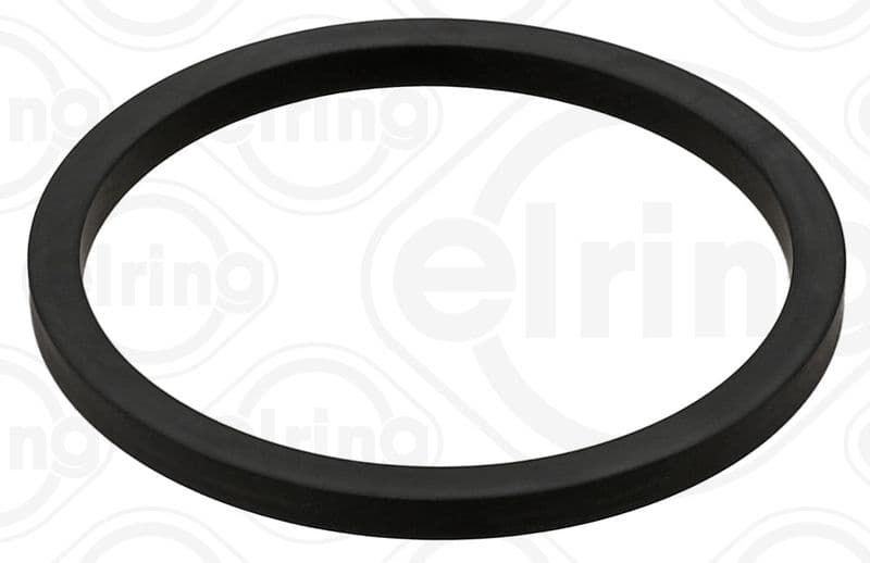 Gasket, timing case cover