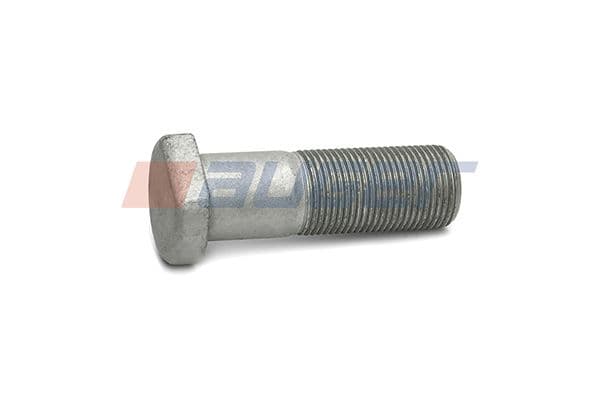 Wheel bolt