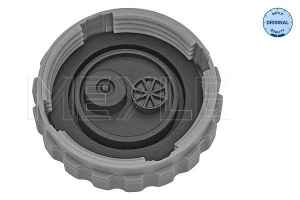 Stop koelvloeistof vereffeningstank past: CHEVROLET CAPTIVA, EVANDA, LACETTI  CHRYSLER PT CRUISER  DAEWOO ESPERO, LANOS, NEXIA  OPEL AGILA A, ASCONA C, ASTRA F, ASTRA F CLASSIC 1.0-3.6 08.79-
