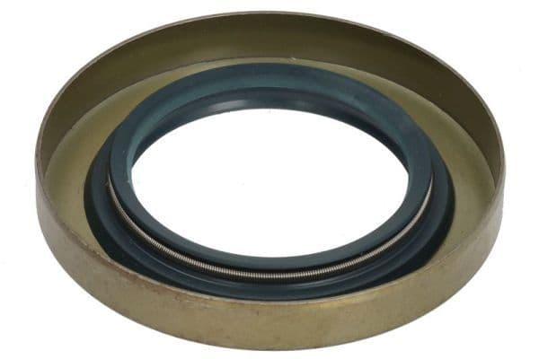 Repair Kit, differential