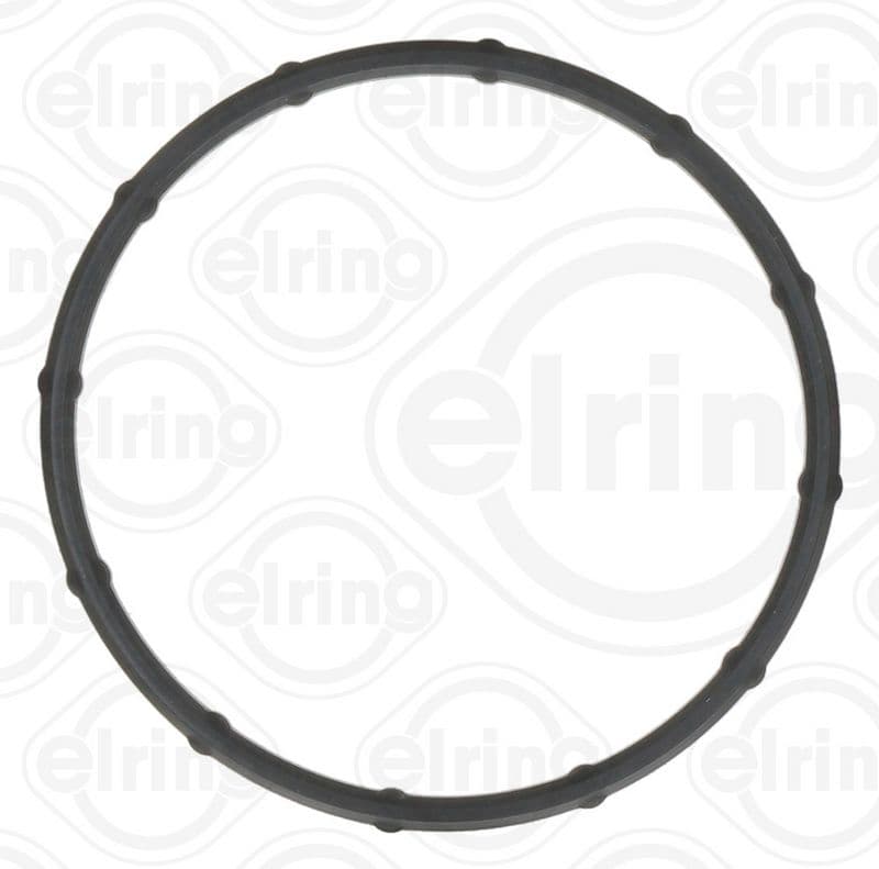 Gasket, thermostat housing