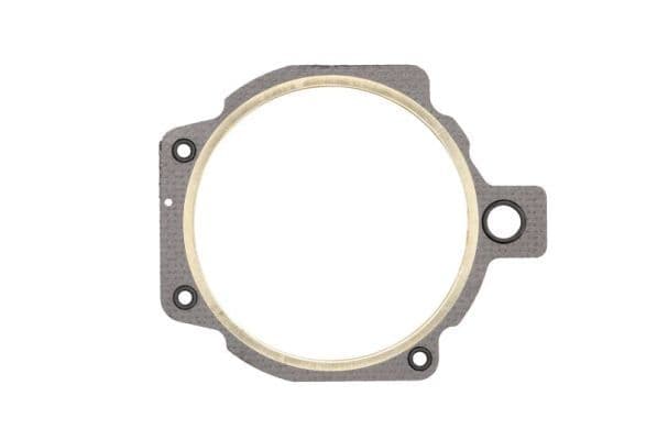 Cylinder head gasket