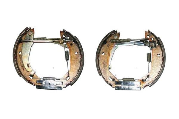 Brake shoe set