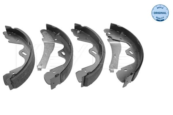 Brake shoe set