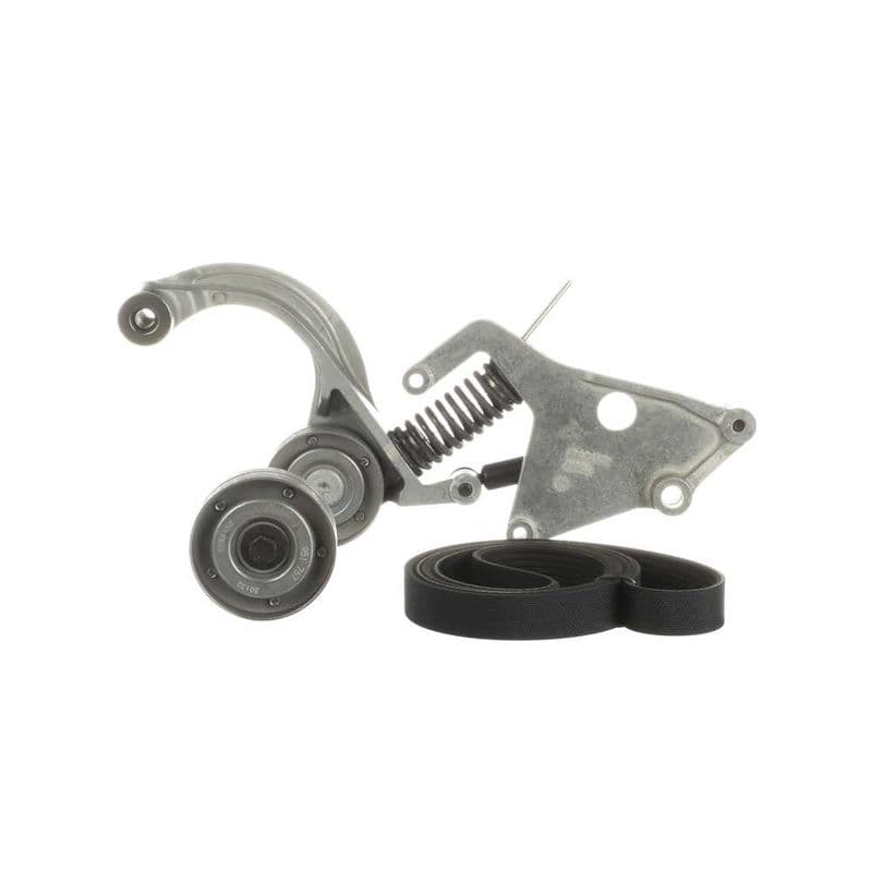 Multi-V-riem (6PK1390)