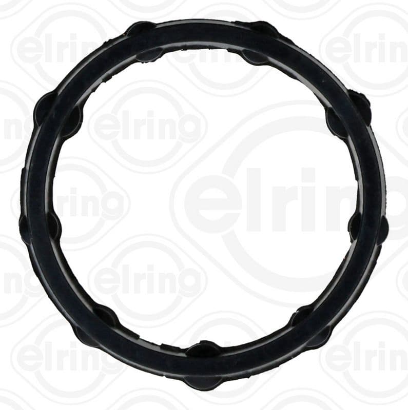 Gasket, oil cooler