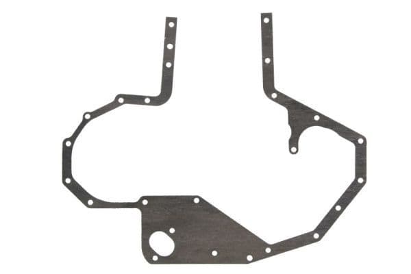 Gasket, timing case cover