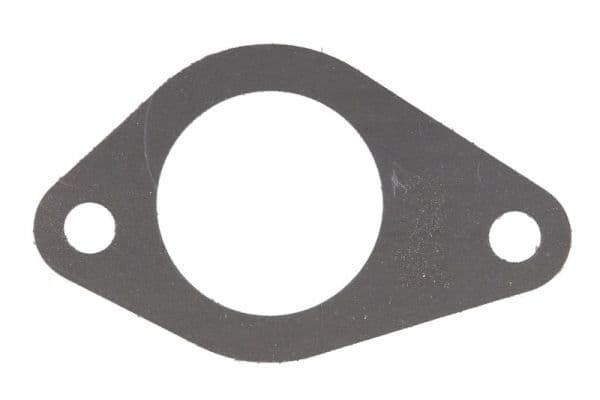 Water pump gasket