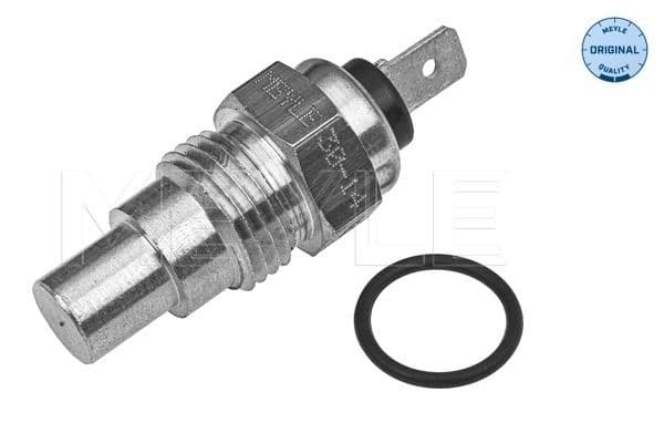 Sensor, coolant temperature