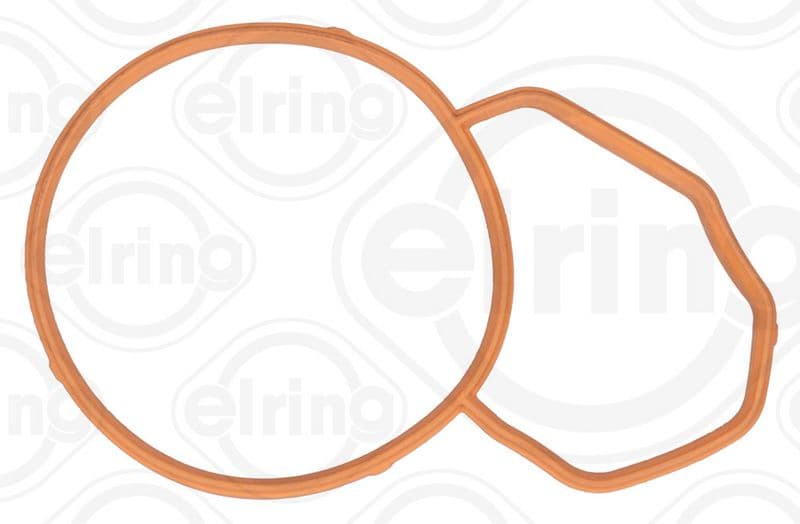 Gasket, thermostat housing