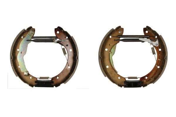 Remtrommelset (schoen, cilinder, veren) past: RENAULT LAGUNA I, MEGANE I, MEGANE SCÉNIC, SCENIC I 1.4-2.2D 09.95-09.03