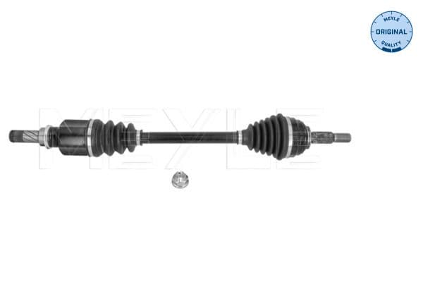 As van de aandrijfas Voor Links 675mm past: DACIA LOGAN, SANDERO  RENAULT CLIO III, KANGOO BE BOP, KANGOO EXPRESS, KANGOO II, MEGANE II, MODUS 1.4-1.6LPG 09.02-
