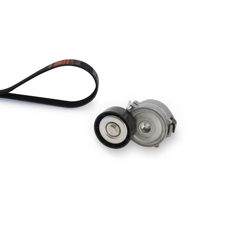 Multi-V-riem (6PK1203)