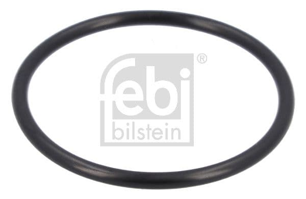 Water pump gasket