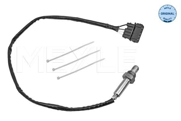 Oxygen Sensor