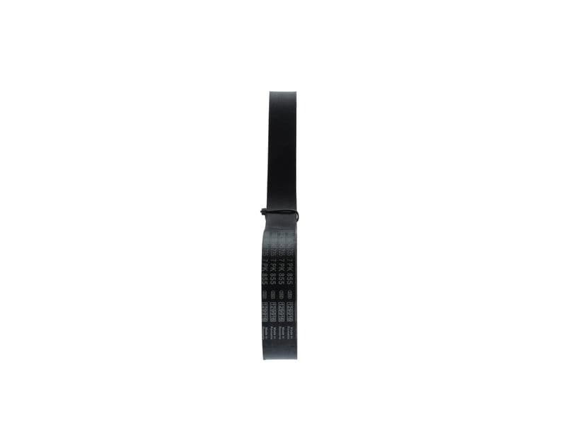 V-ribbed Belt