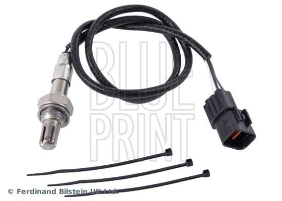 Oxygen Sensor