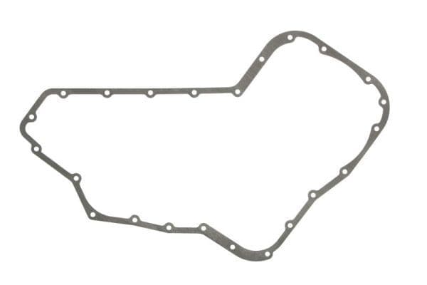 Gasket, timing case cover