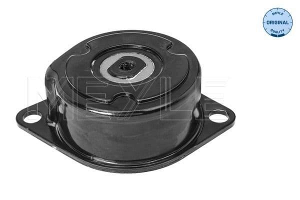 Tensioner Lever, V-ribbed belt