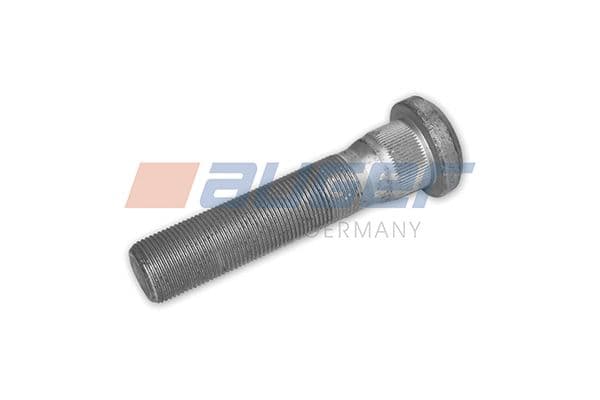 Wheel bolt